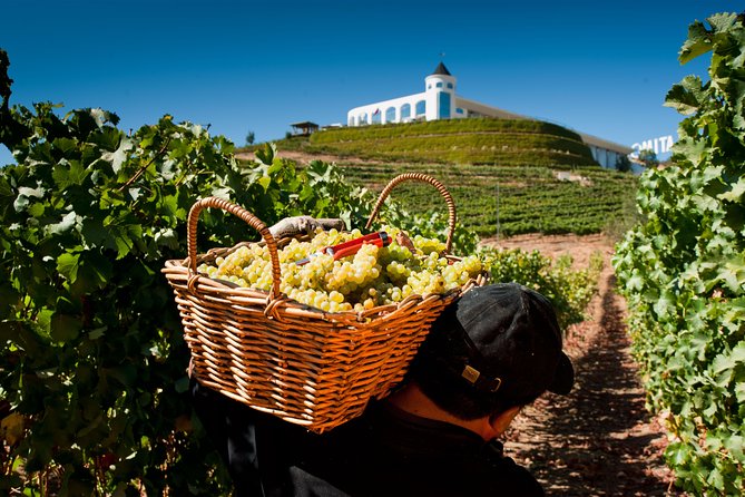 Casablanca Valley - Visit 4 Wineries Lunch Stop Tanino Restaurant - Itinerary and Experience