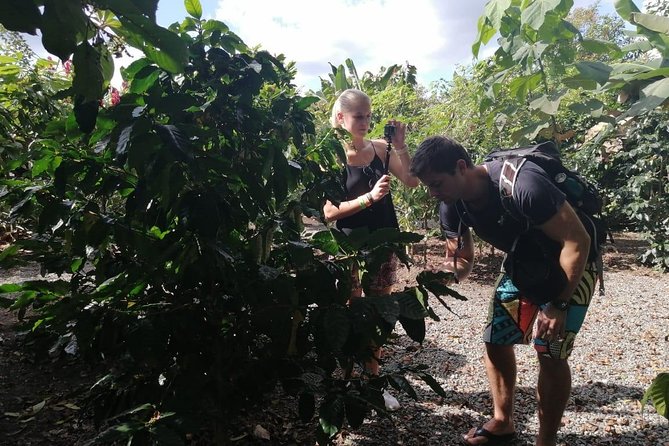 Chocolate and Coffee Tour - Discover the Flavors of La Fortuna