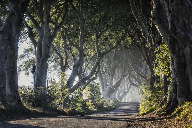 Dublin to Dunluce Castle, Giants Causeway, Dark Hedges & Belfast - Delving Into the Glens of Antrims Scenic Beauty