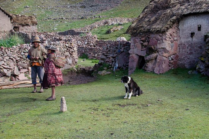 Full-Day Rainbow Mountain & Red Valley Small-Group Trek From Cusco - Reviews and Feedback