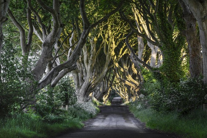 Game of Thrones and Giants Causeway Full-Day Tour From Belfast - Overview of the Tour