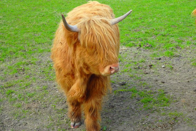 Loch Ness & Culloden Battlefield Private Tour From Inverness - Clava Cairns: Uncovering Bronze Age Burial Sites