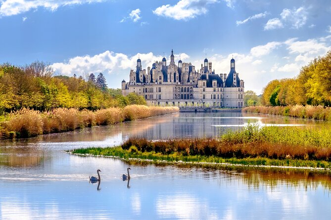 Loire Valley Castles Day Trip From Paris With Wine Tasting - Traveler Experiences and Feedback