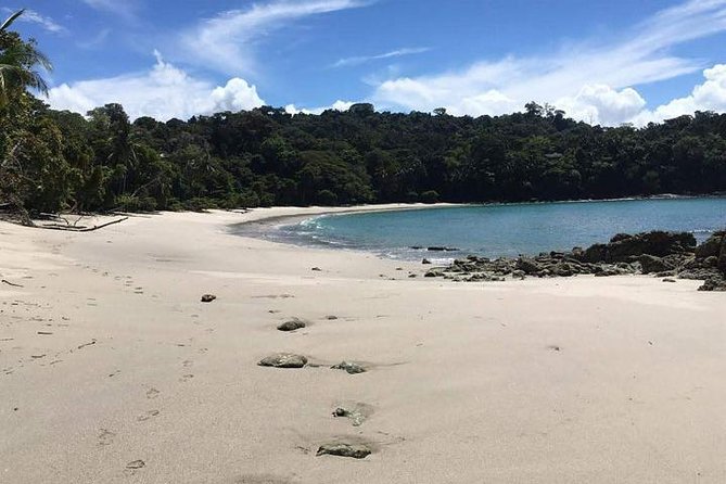 Manuel Antonio National Park Guided Tour - Exploring the Park Trails