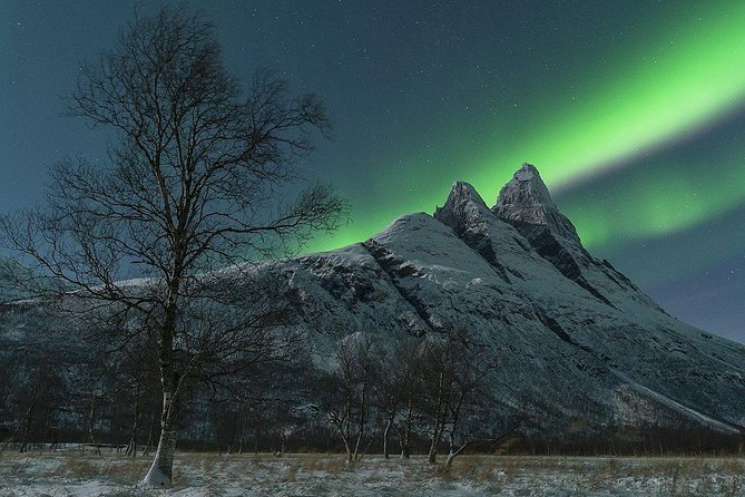 Northern Lights Minibus Chase - What to Expect on the Tour