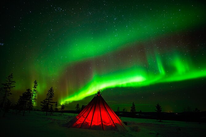 Northern Lights Wilderness Small-Group Tour From Rovaniemi - Maximizing Your Chances of Seeing the Northern Lights