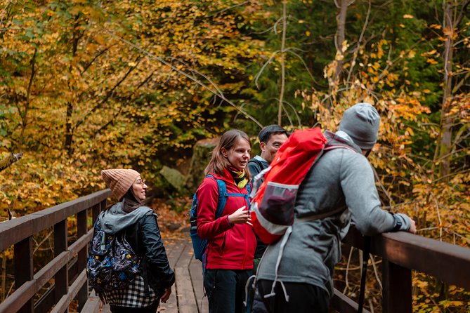 Prague to Czech Bohemian and Saxon Switzerland National Park Tour - Essential Information for Participants