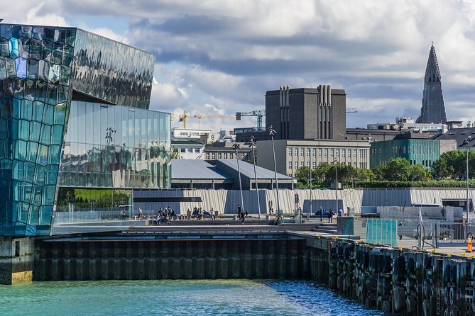 Reykjavik Walking Tour - Walk With a Viking - Exploring Viking History in Reykjavík