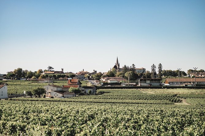 Saint-Emilion Electric Bike Day Tour With Wine Tastings & Lunch - Small Group Experience