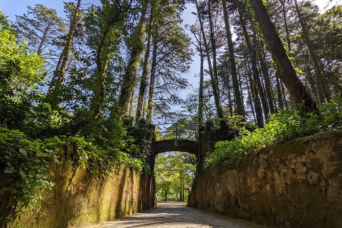 Sintra Small Group Tour From Lisbon: Pena Palace Ticket Included - Experiencing Cascais, a Renowned Beach Resort