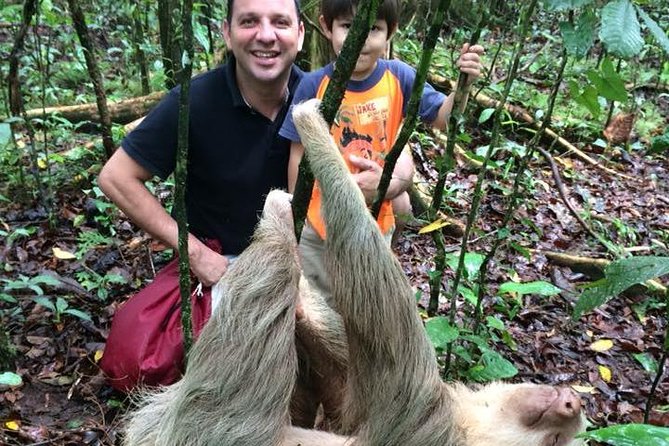 Sloth Watching Tour - The Unique Charm of Sloths