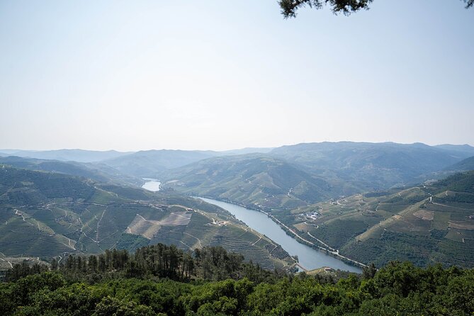 Small Group Douro Valley Wine Tour With Lunch and Cruise - Traditional Portuguese Lunch