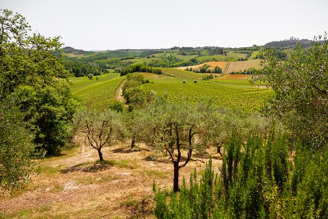 Tuscany Day Trip From Florence: Siena, San Gimignano, Pisa and Lunch at a Winery - Inclusions and Exclusions