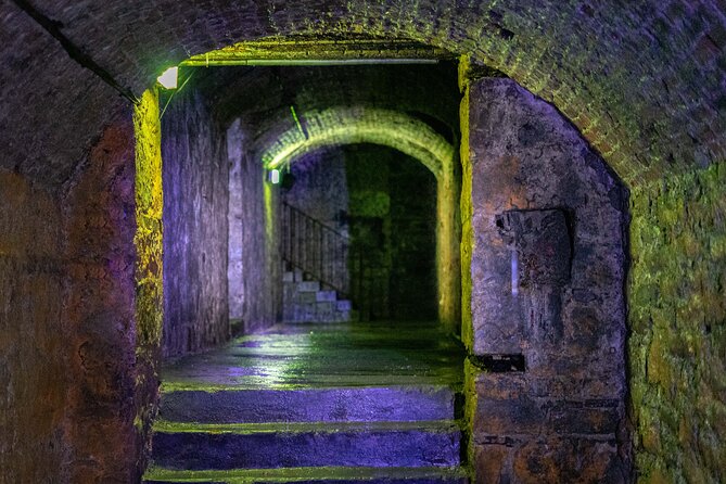 Underground Vaults Walking Tour in Edinburgh Old Town - Visitor Feedback and Recommendations