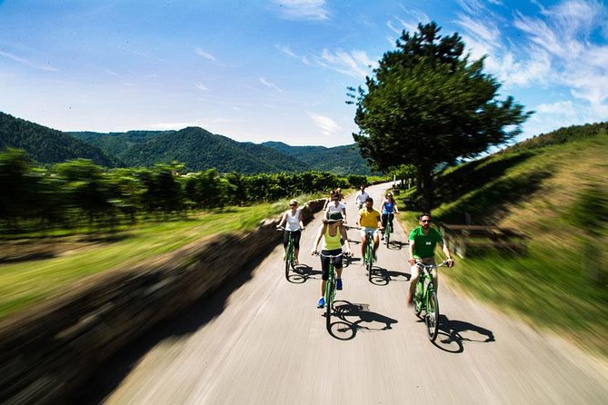 Wachau Valley Wine Tasting Bike Tour From Vienna - Wine Tasting in the Heart of Wachau