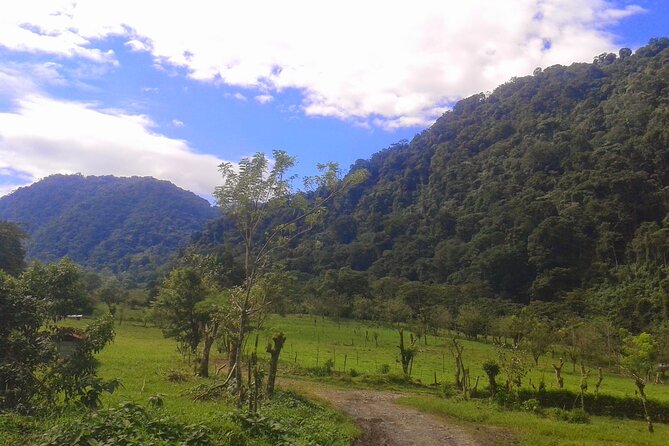 Afternoon Arenal Volcano and Natural Hot Springs River - Traveler Feedback and Insights