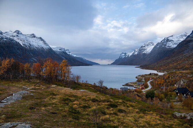 Arctic Roadtrip: Fjords With Scenic Picnic | Sightseeing - The Scenic Route