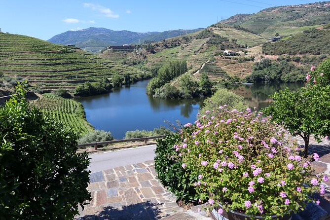 Authentic Douro Wine Tour Including Lunch and River Cruise - Savoring the Flavors of Douro