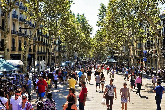 Barcelona: Old Town, Montjuic Castle, Cable Car Small Group Tour - Accessibility and Additional Information