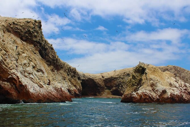 Boat Tour of the Ballestas Islands in Paracas - Preparing for the Tour