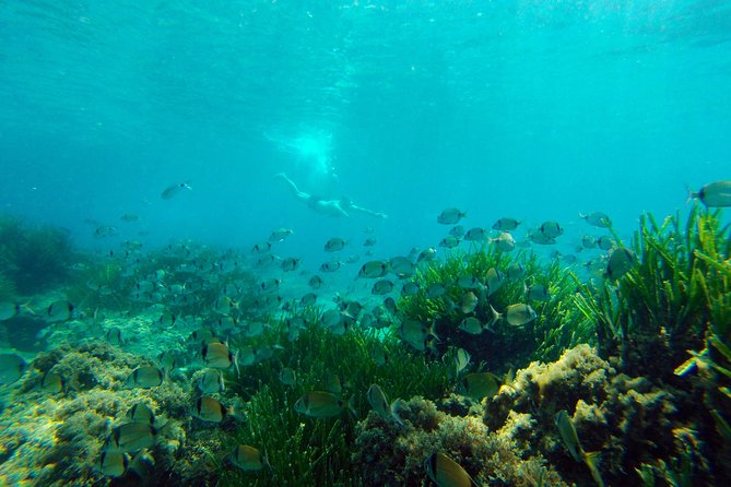 Cabo De Gata Active. Guided Kayak and Snorkel Route Through the Coves of the Natural Park - Exploring the Coastal Caves and Cliffs