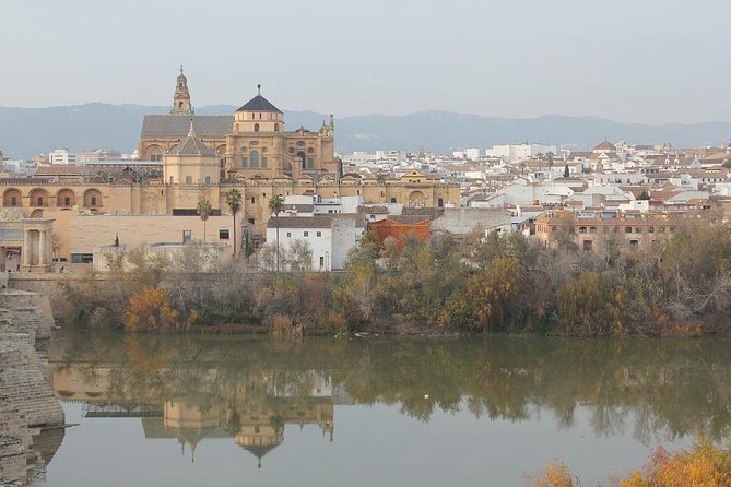 Cordoba & Carmona With Mezquita, Synagoge & Patios From Seville - Inclusions and Pricing