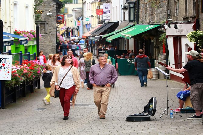 Dublin to Kilkenny, Wicklow, Glendalough, Laragh Sheep Dog Trial - Experiencing the Sheep Dog Demonstration