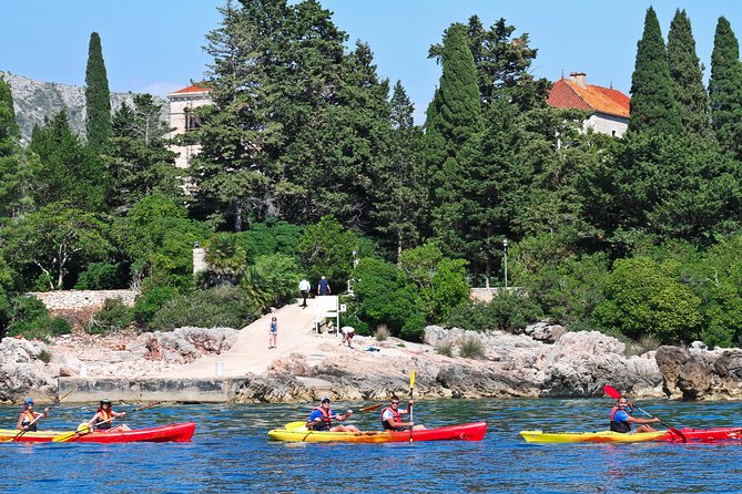 Dubrovnik: Sea Kayaking & Snorkeling Tour - Health and Safety Guidelines