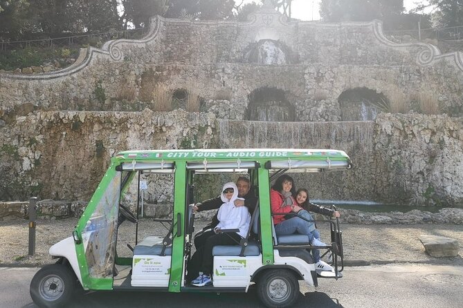 Florence Electric Golf Cart Tour - Accessibility and Inclusions