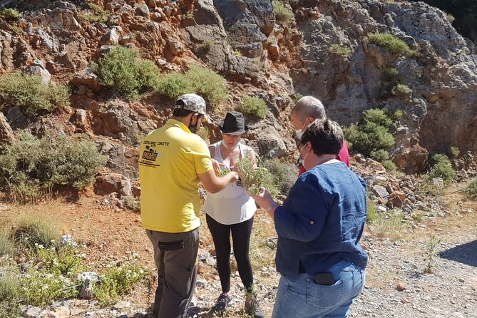 Full-Day Small-Group Tour in Crete & the Cave of Zeus - Discovering the Windmills of Lasithi Plateau