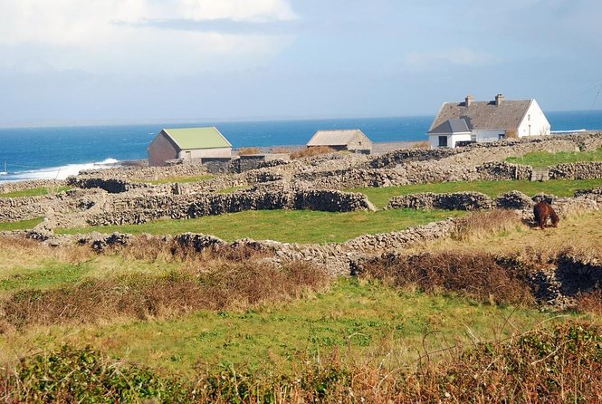 Galway to Aran Islands Inisheer, Doolin, Cliffs of Moher Day Tour - Inclusions and Transportation