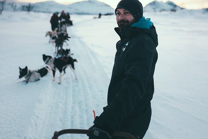 Husky Sledding Self-Drive Adventure in Tromso - Discovering the Arctic Landscape