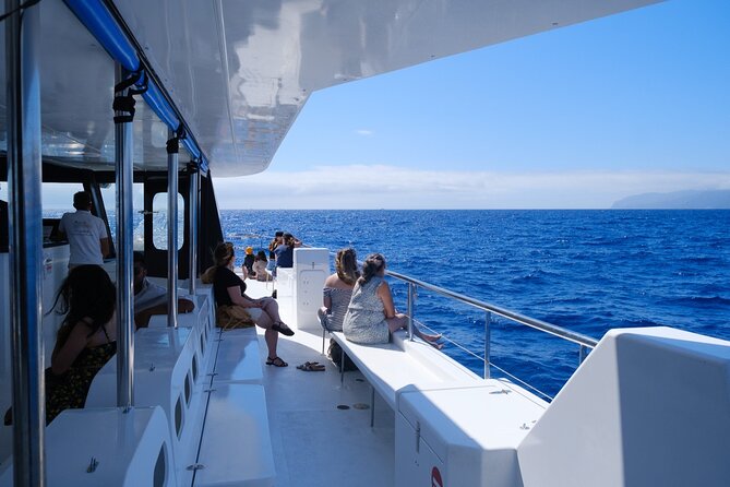 Madeira Dolphin and Whale Watching on a Ecological Catamaran - Sustainable Eco-Friendly Catamaran