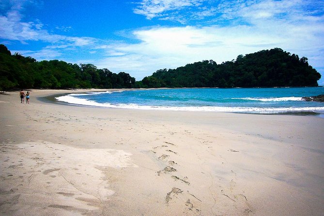 Manuel Antonio Park Nature Guided Tour With a Nature Specialist - Traveler Reviews