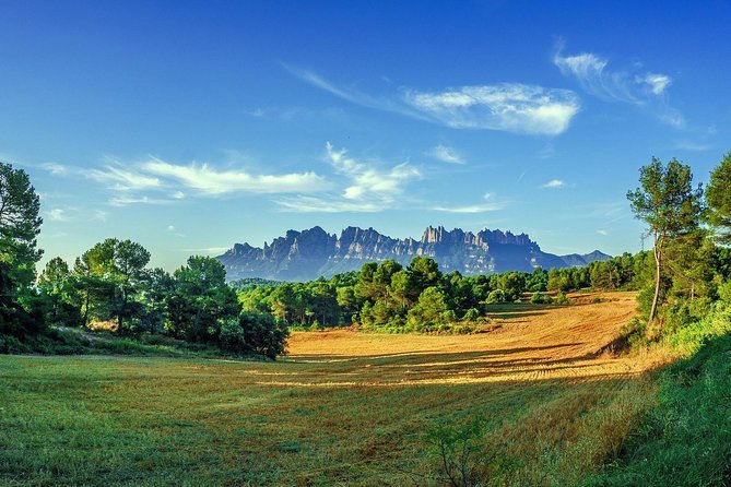 Sagrada Familia & Montserrat Small Group Tour With Hotel Pick-Up - Logistics and Accessibility