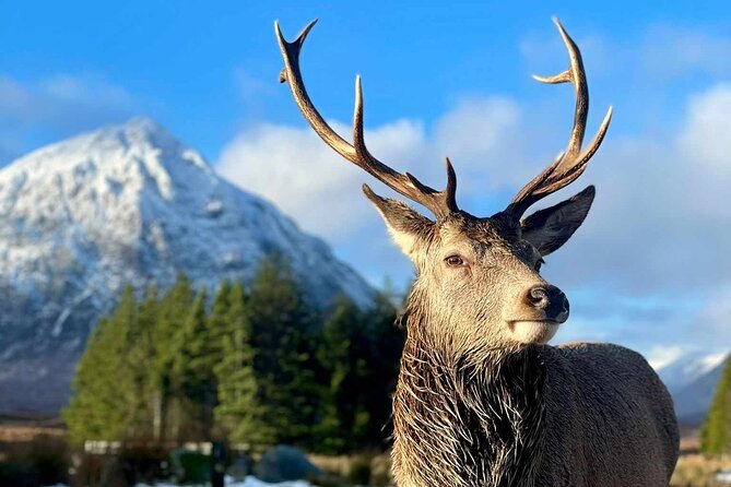 Scottish Highlands, Loch Ness and Glencoe Day Trip From Edinburgh - Capturing Memorable Moments