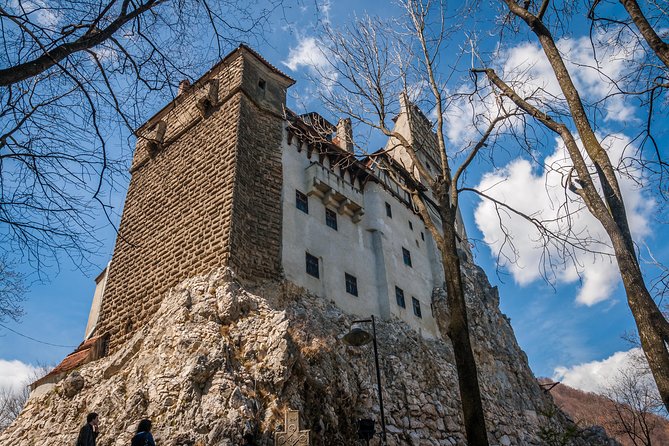 Small-Group Day Trip to Draculas Castle, Brasov and Peles Castle - Customer Feedback and Experiences