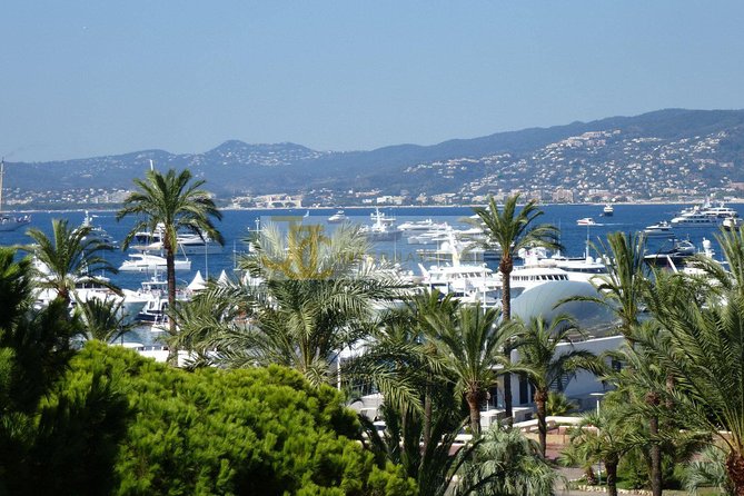 The Best of the French Riviera Small Group Guided Tour From Nice - Immerse in the Glamour of Monte Carlo