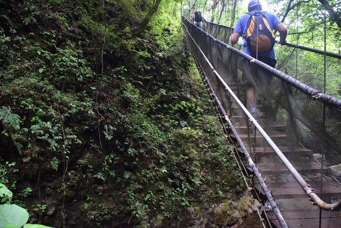 Volcano-Waterfall and Hot Springs Combo ( Private) - Dining and Culinary Experiences