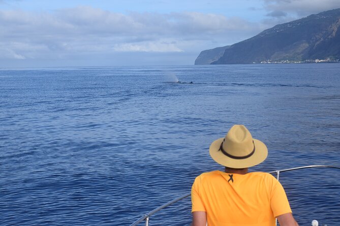 Whale and Dolphin Watching Tour in Madeira - Considerations for Wildlife Encounters