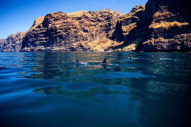 Whales Listening Eco-Catamaran Tour With Food Tasting - Important Considerations