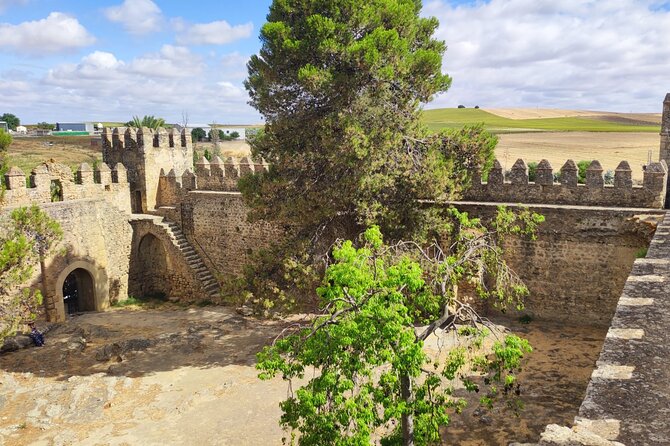 White Villages and Ronda Day Tour From Seville - Included Services and Amenities