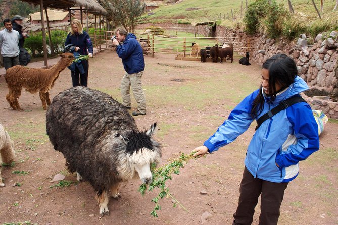 6 Days Exploring Cusco, Sacred Valley & Machu Picchu - Pricing and Cancellation Policy