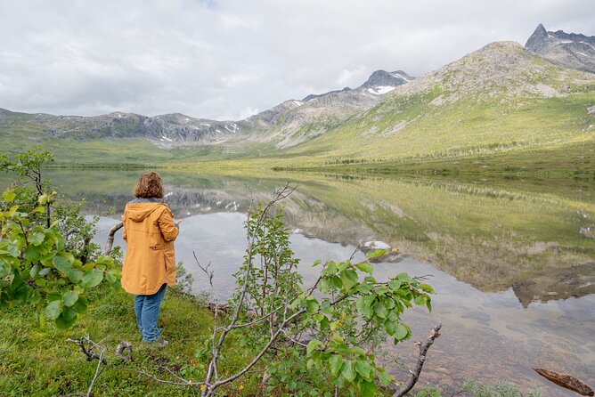 Arctic Roadtrip: Fjords With Scenic Picnic | Sightseeing - Exploring the Fjords