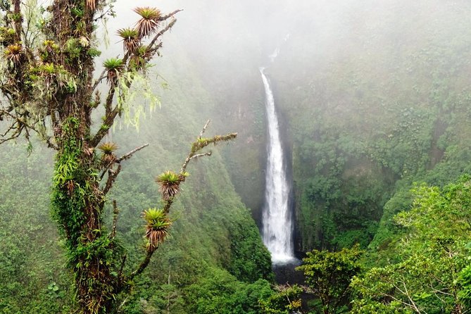 Arenal Volcano Full-Day Combo Tour With Lunch and Dinner - Accessibility and Considerations