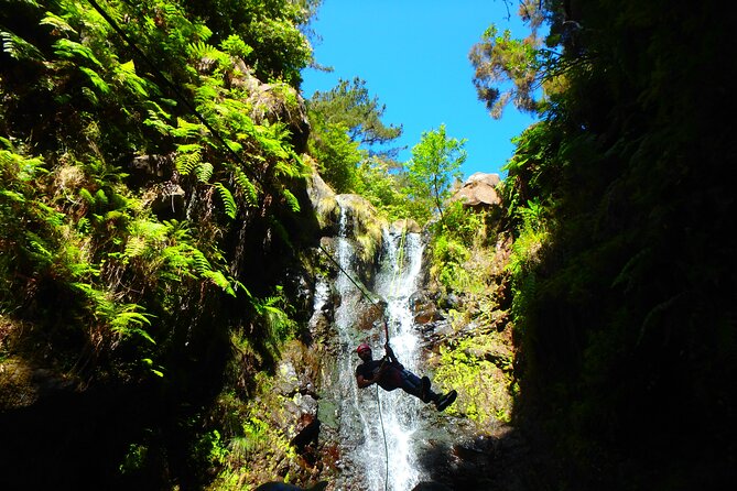 Canyoning Madeira Island - Level One - Adrenaline-Fueled Activities