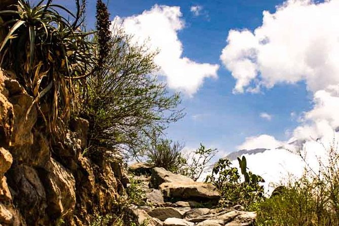 Colca Canyon Trek 3 Day 2 Night - Reflecting on the Adventure