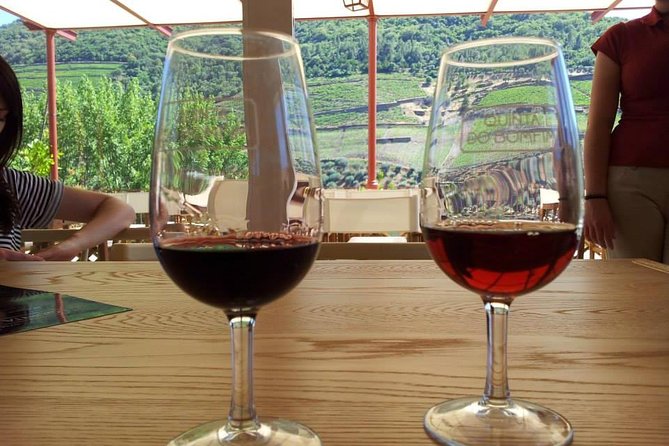 Complete Douro Valley Wine Tour With Lunch, Wine Tastings and River Cruise - Visiting the Wineries