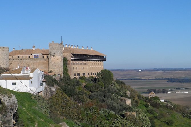 Cordoba & Carmona With Mezquita, Synagoge & Patios From Seville - Accessibility and Additional Information