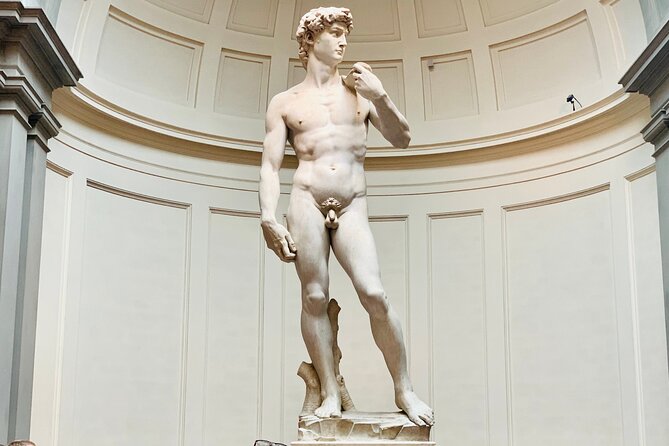 Florence Accademia Gallery Tour With Entrance Ticket Included - Unlocking the Gallerys History